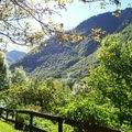 jardin botanique pyrénéen