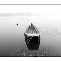 Photos de la Loire en noir & blanc