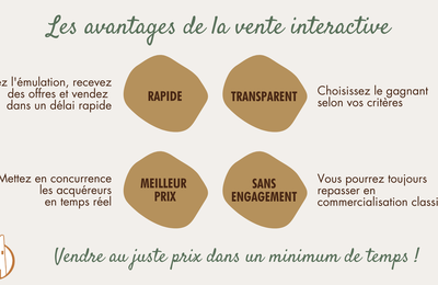 La vente interactive: ne ratez plus la meilleure offre !