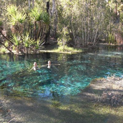 Jour 11 - Dimanche 19 juillet 2015 - Mataranka à Katherine (120km)