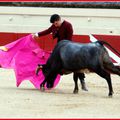 ARÈNES DE BÉZIERS- FIN DES JOURNÉES TAURINES 2016