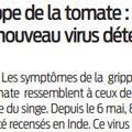 Nouveau virus : grippe de la tomate