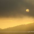 Brouillard d'automne sur les Monts du Lyonnais (1)