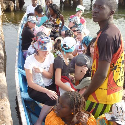 Nous avons navigué à travers la Mangrove, des