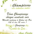 Retrouvez les p'tits "Champis" sur Salon-de-Provence