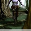 Terre Promise La légende de Drizzt livre III