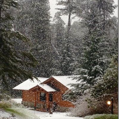 Patagonian Express II