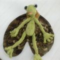 Une grenouille de ma copinette 