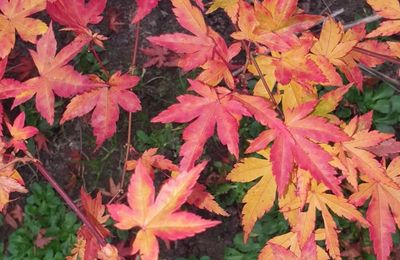 Photos du Dimanche !