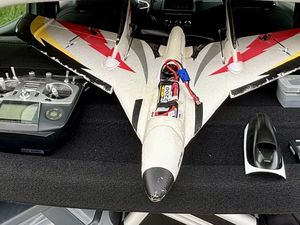 L’AILE VOLANTE STRIKER DE OLIVIER ET LE RANGER D’ALEXANDRE.