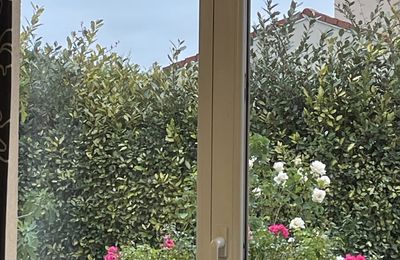 Mardi 04 novembre 2025: mes photos datent d'hier, les oiseaux avant la tonte , Dernière tonte , les fleurs bravent novembre, pause et silence contemplatif , les nuages pardessus le toit de ma cabane de jardin , mon diapo s'en suit ...