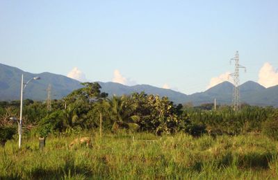 Fumerolle de La Soufrière