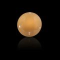 Large Orange Non-Nacreous Pearl--"Melo Pearl", Melo melo volutidae, Saltwaters near Vietnam