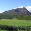 Arran **
