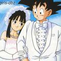 le mariage de sangoku et chi-chi