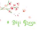 Défi Green Blog, episode1 : écogestes et objectifs