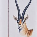 La Gazelle ( 19x27 )