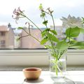 * Petit bouquet cueilli sur le balcon: géranuim,