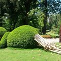 #Bonnes adresses : Le jardin des plantes !