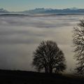 le brouillard d'en bas nous offre de belles