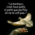 Parfois, c'est triste de lire ...ceci:. certaines