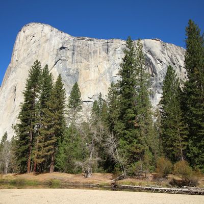 Jours 17 à 21 - Yosemite National Park