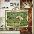 Safari photo