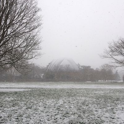 Retour au bois en solo