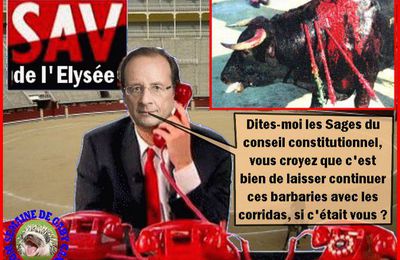 FRANCOIS HOLLANDE NE SERAIT PAS CERTAIN QUE LA DECISISON DU CONSEIL CONSTITUTIONNEL SOIT LA BONNE CONCERNANT LES CORRIDAS