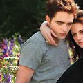 Stills: Breaking Dawn Part 2