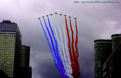 La Patrouille de France lors du Défilé Aériens du 14 Juillet 2012 !