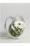 Vase boule fer blanc spirale