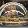 Chasseurs de truffes, Un documentaire à savourer "comme un plat de spaghetti"