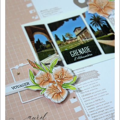 ScrapDidi - Appel à DT