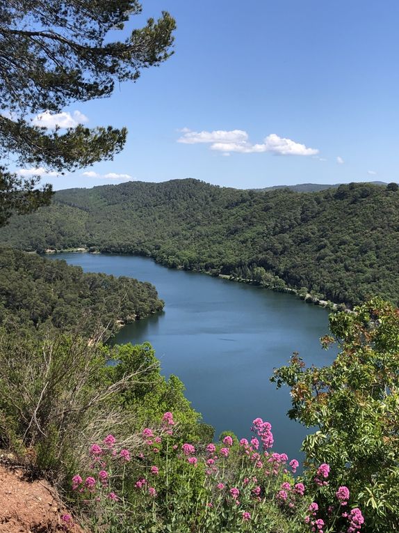 Sortie nature du 10 mai 2025 à Carcès