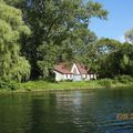 Toronto island