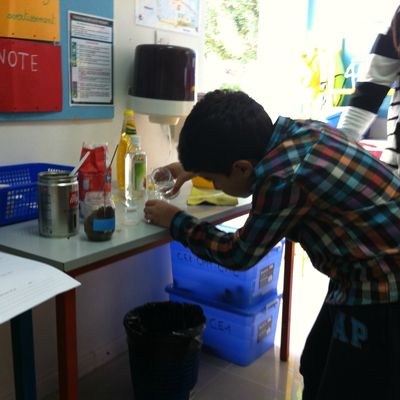 Investigation scientifique et bilinguisme : mélanges et solutions (CM1)