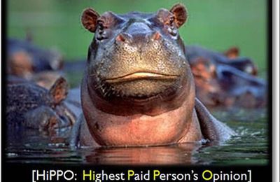 Tuons les Hippos ! Le marketing web version safari