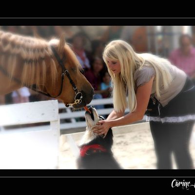 6 ème gala equestre de courfaivre 