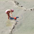 Jouer à la plage ... c'est un vrai métier...