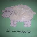 Le mouton