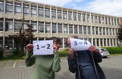 Recenser les martinets : mode d'emploi