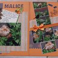 DOUBLE PAGE : MALICE DANS LES DAHLIAS