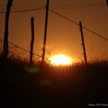 Coucher de soleil au Mas, Mis à jour le 30 juillet 2015