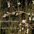 Le Challenge sans nom - V1