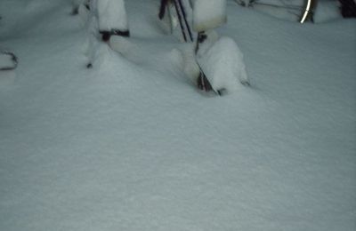 Enseveli...sous la neige!