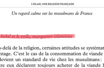 Selon Hakim El Karoui, le halal et le voile seraient des "marqueurs islamistes"