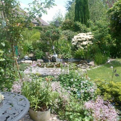 Mon petit coin de verdure...