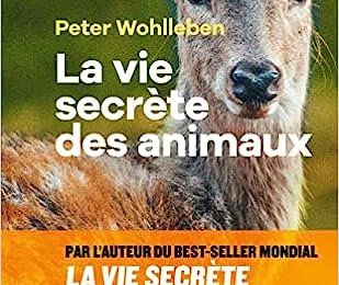 LA VIE SECRETE DES ANIMAUX, de Peter Wohlleben