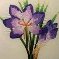 crocus sativus en peinture a  l'aiguille